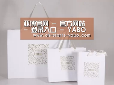 项目名称十一