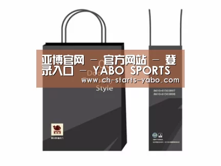 项目名称十四