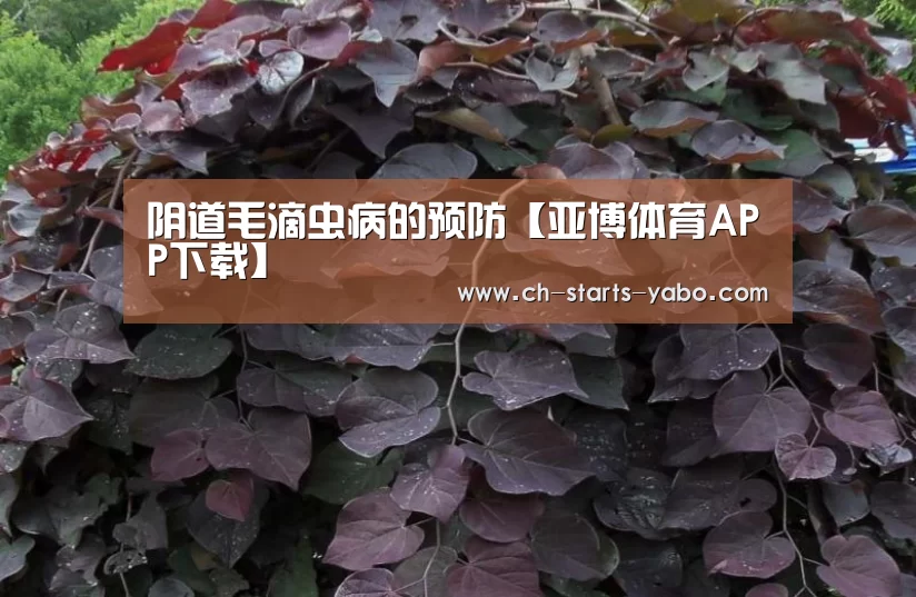 Yabo亚博集团