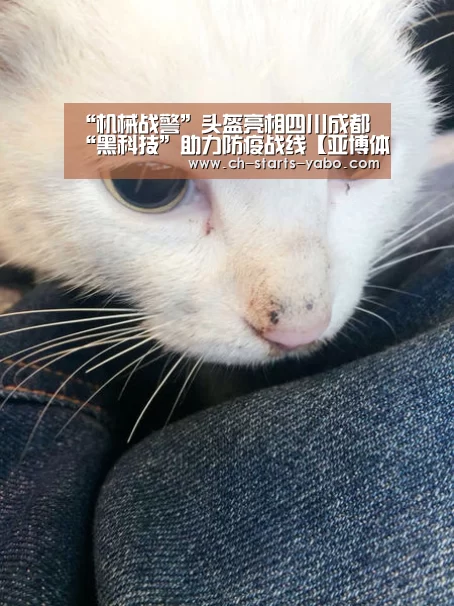 Yabo亚博集团